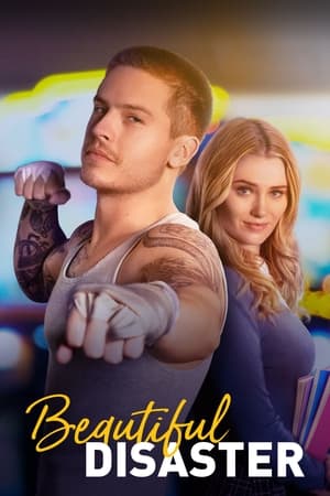 Beautiful Disaster 2023 Hindi Dual Audio –