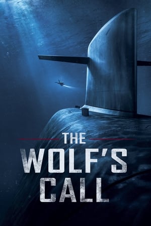 Call (2020) Hindi Dual Audio [1.1GB]